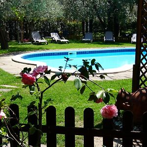 Residence Villa degli Aranci